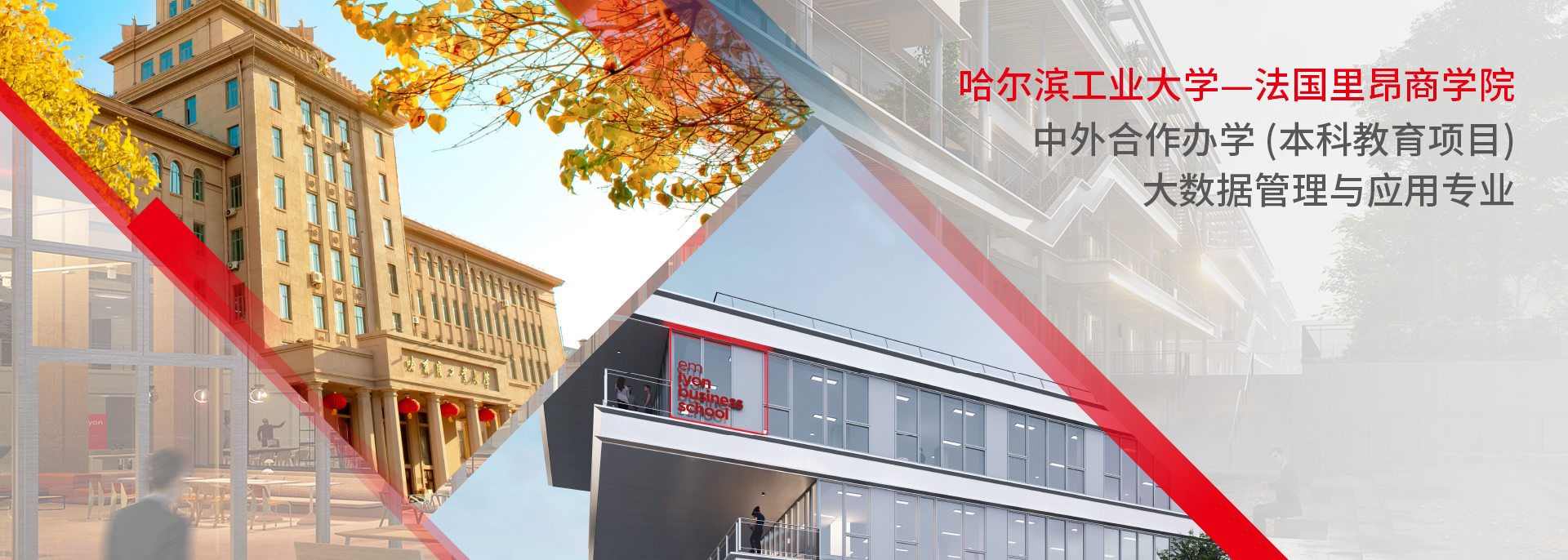 法国里昂商学院 - emlyon business school 