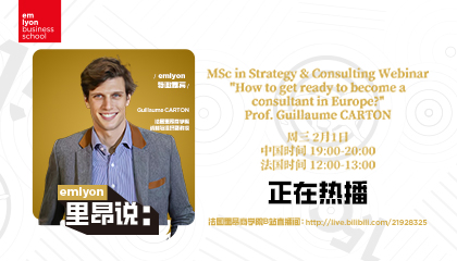 如何在欧洲成为一个咨询顾问？